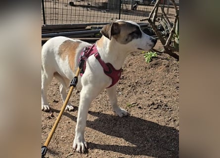 Nicoletta: vom Parkplatz ins schöne Leben