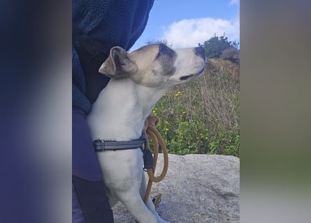 Nicoletta: vom Parkplatz ins schöne Leben