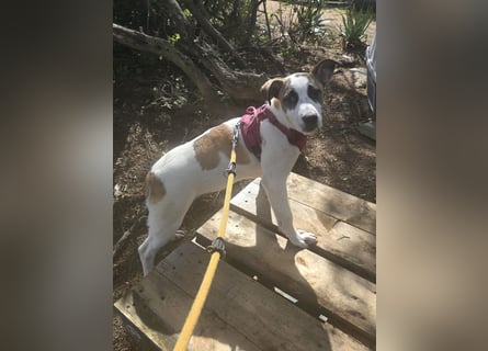 Nicolina: vom Parkplatz ins schöne Leben