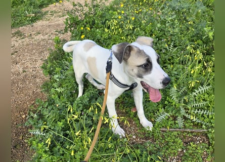 Nicoletta: vom Parkplatz ins schöne Leben