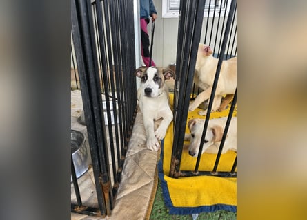 Nicolina: vom Parkplatz ins schöne Leben