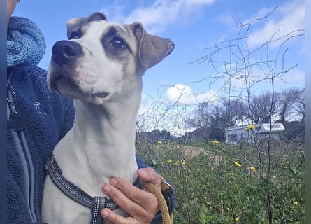Nicoletta: vom Parkplatz ins schöne Leben