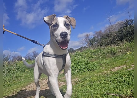 Nicoletta: vom Parkplatz ins schöne Leben