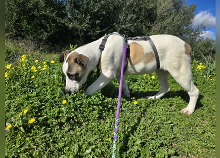 Nicolina: vom Parkplatz ins schöne Leben