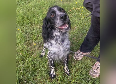 Dolly - freundlicher, lustiger Bub
