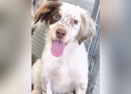 Lello: endlich durchstarten