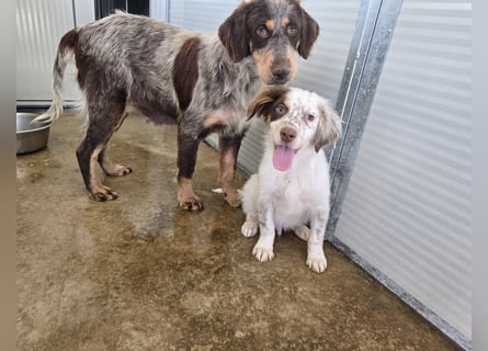 Lello: endlich durchstarten