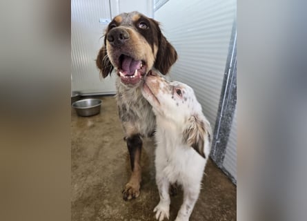 Lello: endlich durchstarten