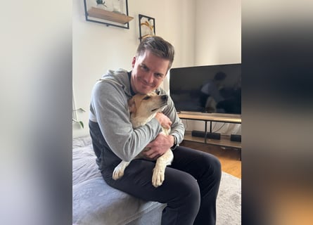 Traumhund Doby sucht seine Familie!