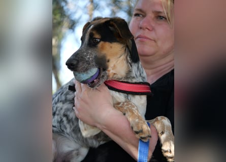 Ornix - so eine Färbung hat die Welt noch nicht gesehen!