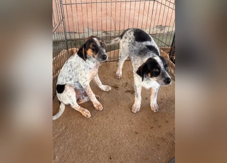 Oceano möchte endlich die Welt entdecken