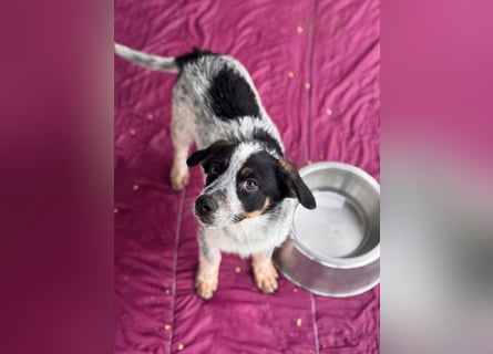 Oceano möchte endlich die Welt entdecken