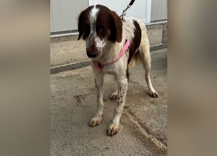 Cugina sucht auf leisen Sohlen ihre Menschen für immer