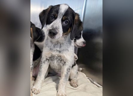 Oceano möchte endlich die Welt entdecken