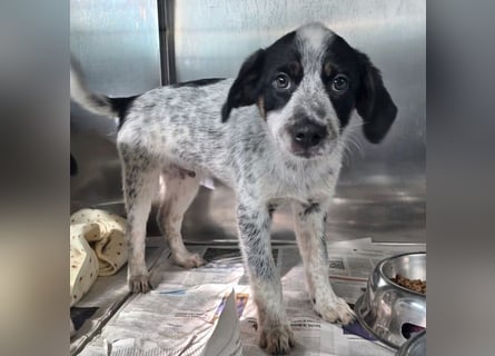 Oceano möchte endlich die Welt entdecken