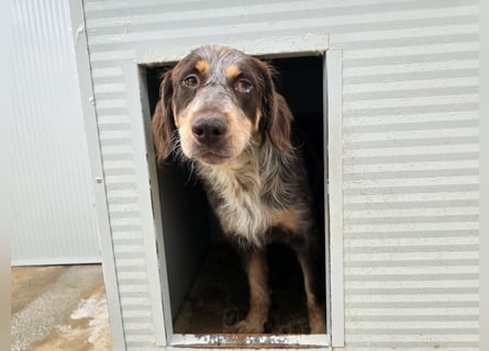 Lella: auch Mamas brauchen Liebe