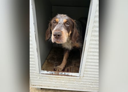 Lella: auch Mamas brauchen Liebe