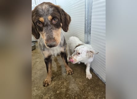 Lella: auch Mamas brauchen Liebe