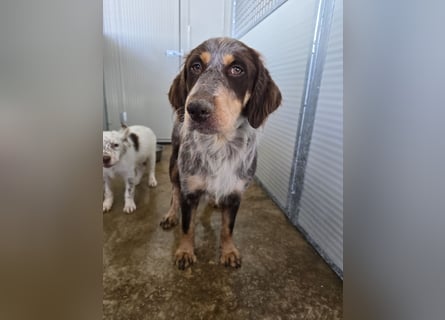 Lella: auch Mamas brauchen Liebe