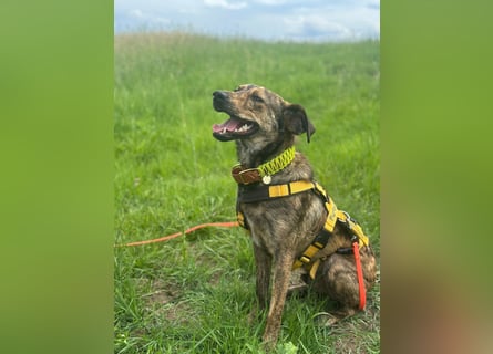Paco: freut sich über Besuch in Bremen