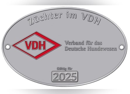 Riesenschnauzer schwarz Welpen des A-Wurf am 3.7.25 erwartete