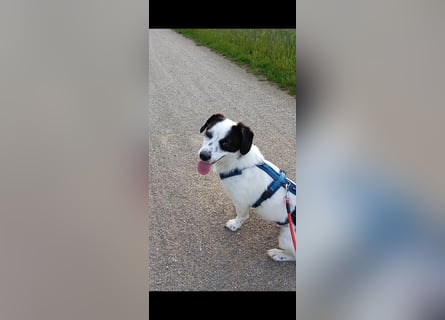 Josie sucht Herzensmensch fürs Leben