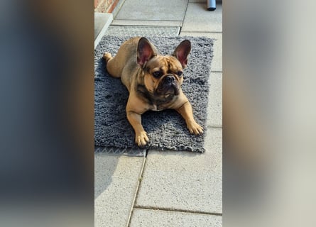 Liebevolles Zuhause gesucht