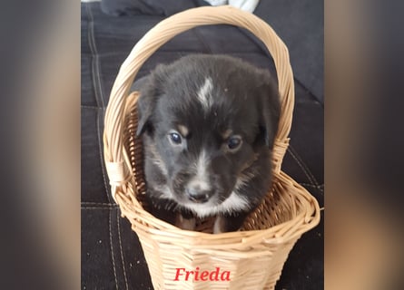 Sie sind endlich da 4 Mädels und 5 Jungs