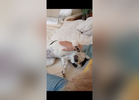 Josie sucht Herzensmensch fürs Leben