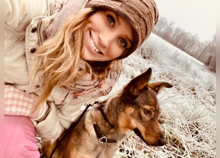 Liebevolle Hündin Ella sucht ein warmherziges Zuhause