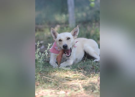 Mila, erwachsene Frau der vielen Facetten