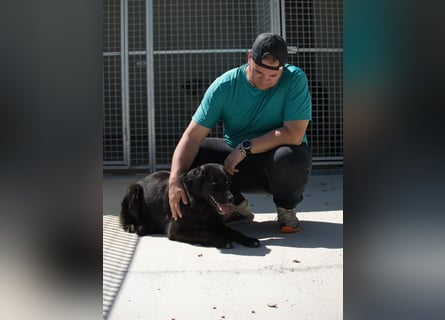 Avena - die Sanftheit im Puschelfell