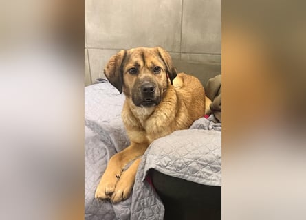 Vincent: einfach nur Klasse