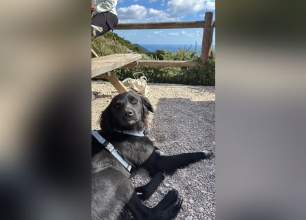 Vincent: einfach nur Klasse