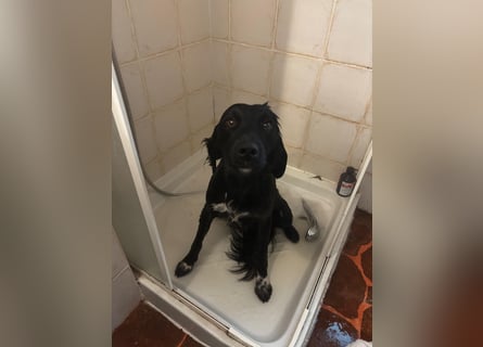 Vincent: einfach nur Klasse