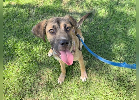 Vincent: einfach nur Klasse