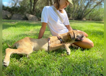 Vincent: einfach nur Klasse