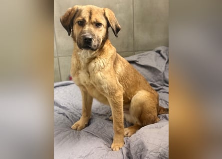 Vincent: einfach nur Klasse