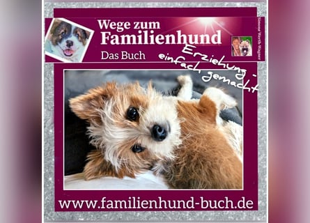 Geschenk unter 25 Euro - Welpe entspannt erziehen mit dem Buch Wege zum Familienhund