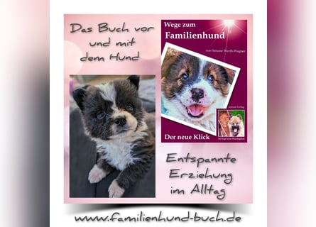 Geschenk unter 25 Euro - Welpe entspannt erziehen mit dem Buch Wege zum Familienhund