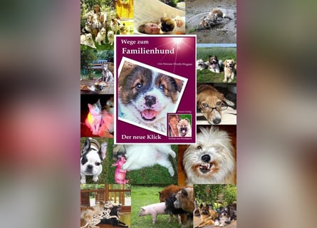 Geschenk unter 25 Euro - Welpe entspannt erziehen mit dem Buch Wege zum Familienhund