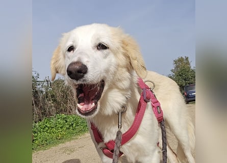 Tesorina: einfach unwiderstehlich