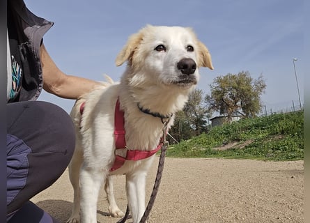 Tesorina: einfach unwiderstehlich