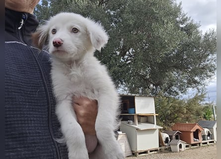 Monia und Mara: zwei Engel mit Plüschohren
