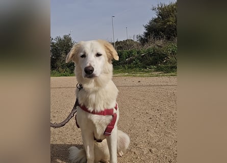 Tesorina: einfach unwiderstehlich