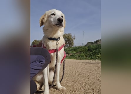 Tesorina: einfach unwiderstehlich