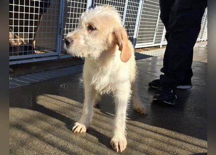 Nami und Noe: vom Flughafen ins schöne Leben