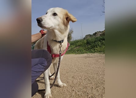 Tesorina: einfach unwiderstehlich