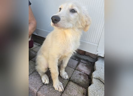 Perdita: 4 Zuckerschnuten wollen die Welt entdecken
