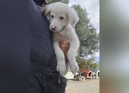 Monia und Mara: zwei Engel mit Plüschohren